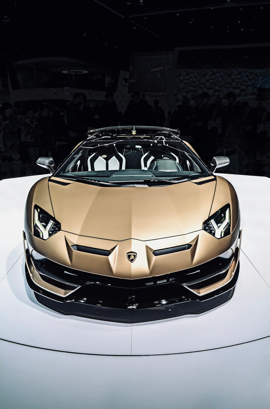 An Educational Guide to the Allure of Diecast Sports Cars - Rapid Vehicles