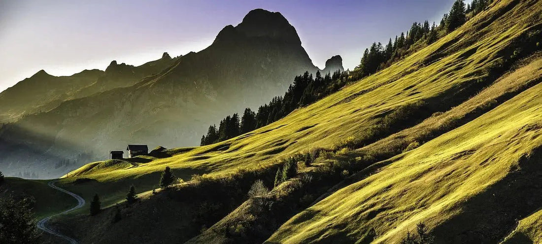 Best Sports Car to Drive in the Alps - Rapid Vehicles
