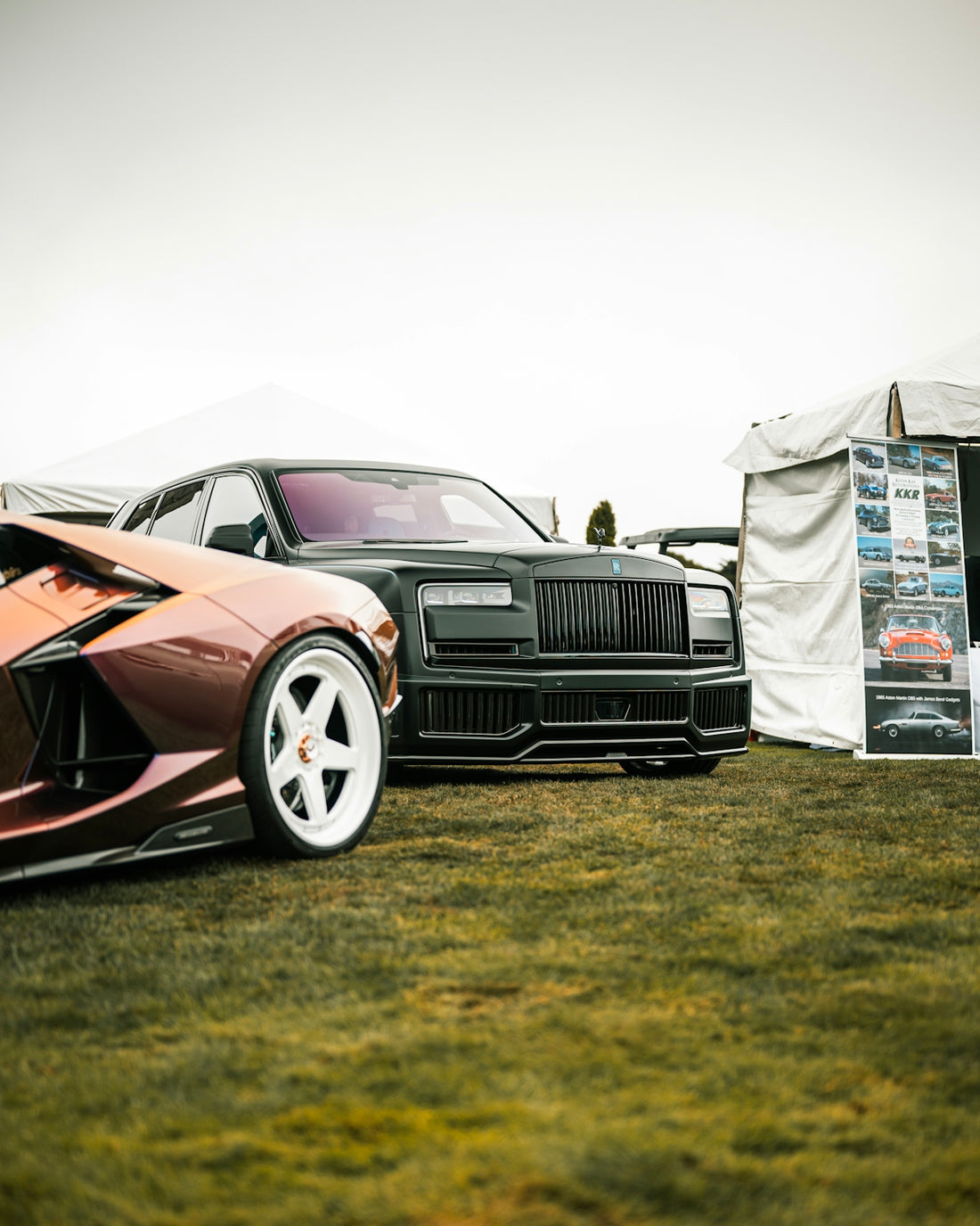 Two luxury cars parked on grassy field