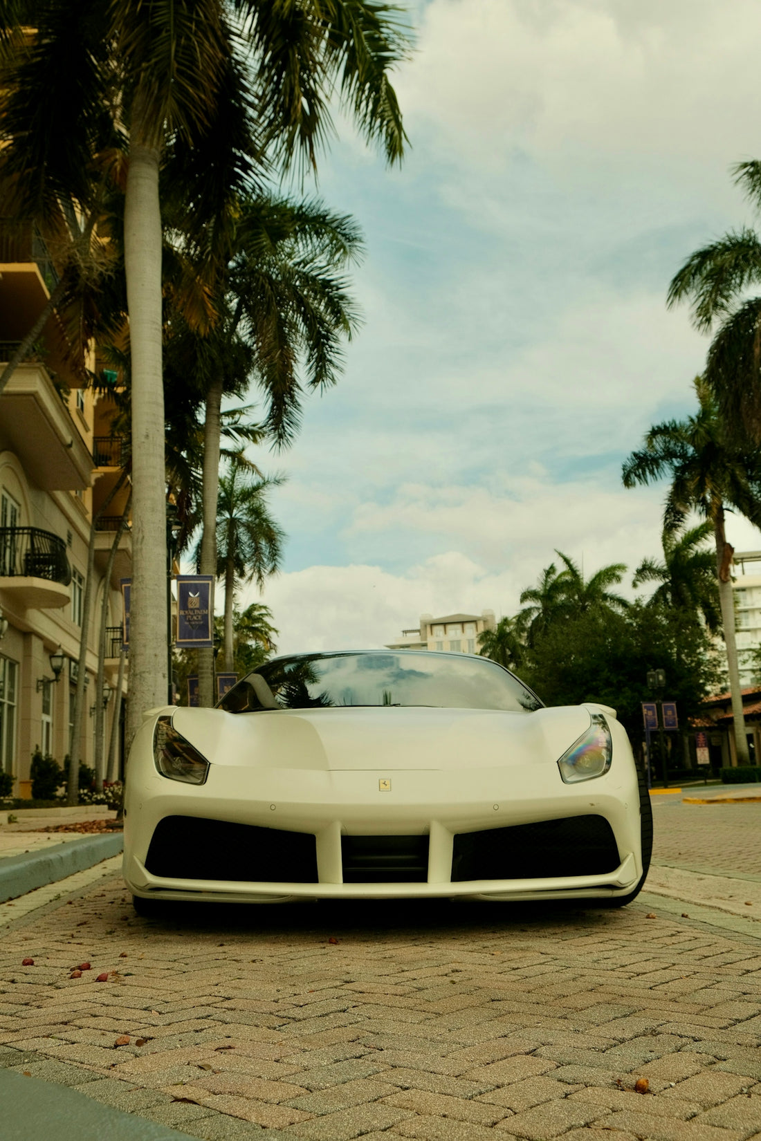 White sports car parked on a palm-lined street
