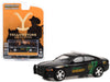 2011 Dodge Charger Pursuit #18 "County Sheriff Deputy" Black "Yellowstone" (2018-Current) TV Series "Hollywood Series" Release 38 1/64 Diecast Model Car by Greenlight - Premium Movie/TV Series Models from Greenlight - Just $17.99! Shop now at Rapidvehicles