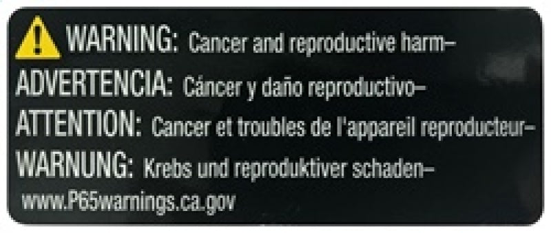 AEM Induction AEM 2015 Ford Mustang 2.3L/3.7L/5.0L Dryflow Air Filter 28-50029