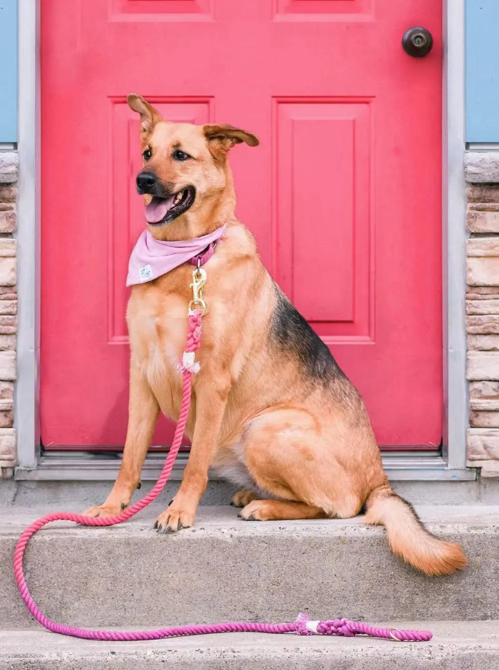 Dog Rope Leash - Ferrari Red - Premium Pets from Scarlet Coco - Just $36.99! Shop now at Rapidvehicles