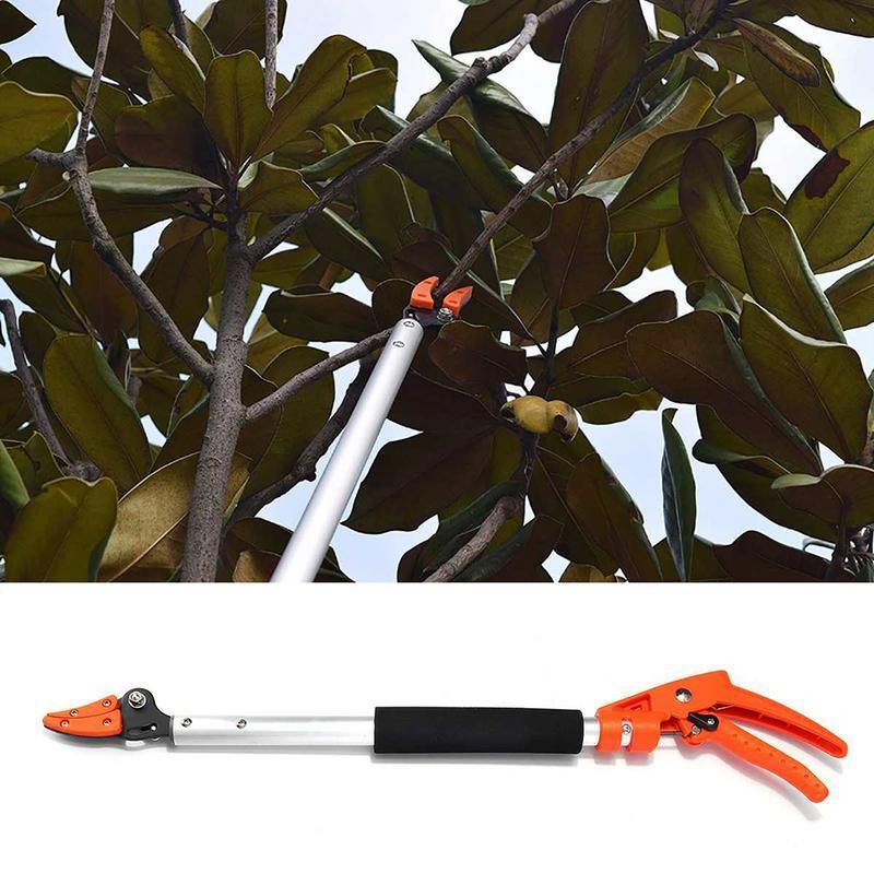 M Extra Long Fruit Picker Telescopic Pruning And Hold Bypass Pruner Max Cutting Fruit Picker Tree Cutter Garden Reasonable - Premium Carports from Rapidvehicles - Just $67.99! Shop now at Rapidvehicles