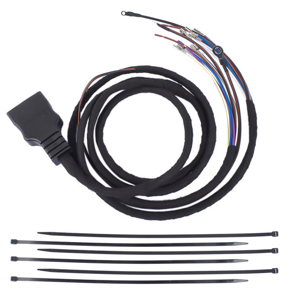 11 Pin Plow Side Light Harness for Western Fisher Blizzard 26347 26377 - Premium Collision Repair Sets from Rapidvehicles - Just $116.99! Shop now at Rapidvehicles