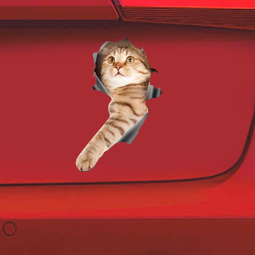 Funny Car  Sticker Body Dog Cat Puppy Scratch Paint Subsidies Cartoon Simulation Door Body Decal Orange Cat No. 4 17*23cm - Premium Car Stickers & Covers from Rapidvehicles - Just $5.98! Shop now at Rapidvehicles