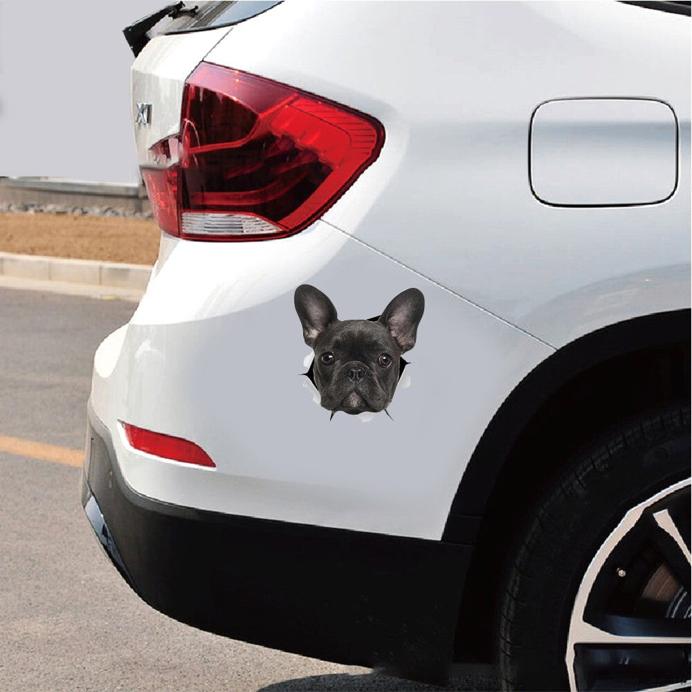 Funny Car  Sticker Body Dog Cat Puppy Scratch Paint Subsidies Cartoon Simulation Door Body Decal Black dog 17*18cm - Premium Car Stickers & Covers from Rapidvehicles - Just $5.98! Shop now at Rapidvehicles