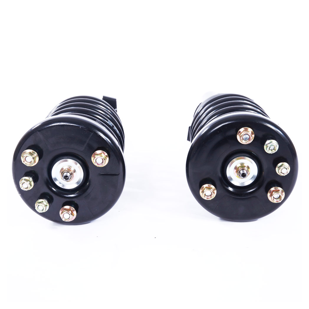 2 Pcs Iron Shock Absorber 17-171691R-171691L JB Black - Premium Automotive from Rapidvehicles - Just $182.99! Shop now at Rapidvehicles