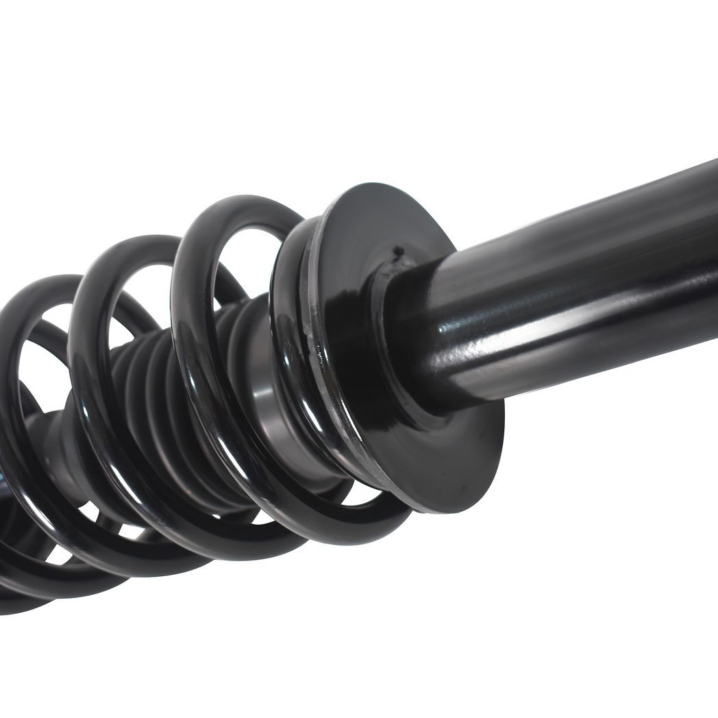 2 pcs complete strut 2011 - 2019 chrysler-300 - Premium Automotive from Rapidvehicles - Just $193.99! Shop now at Rapidvehicles