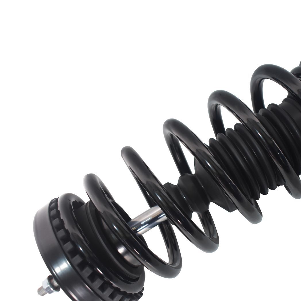 2 pcs complete strut 2011 - 2019 chrysler-300 - Premium Automotive from Rapidvehicles - Just $193.99! Shop now at Rapidvehicles