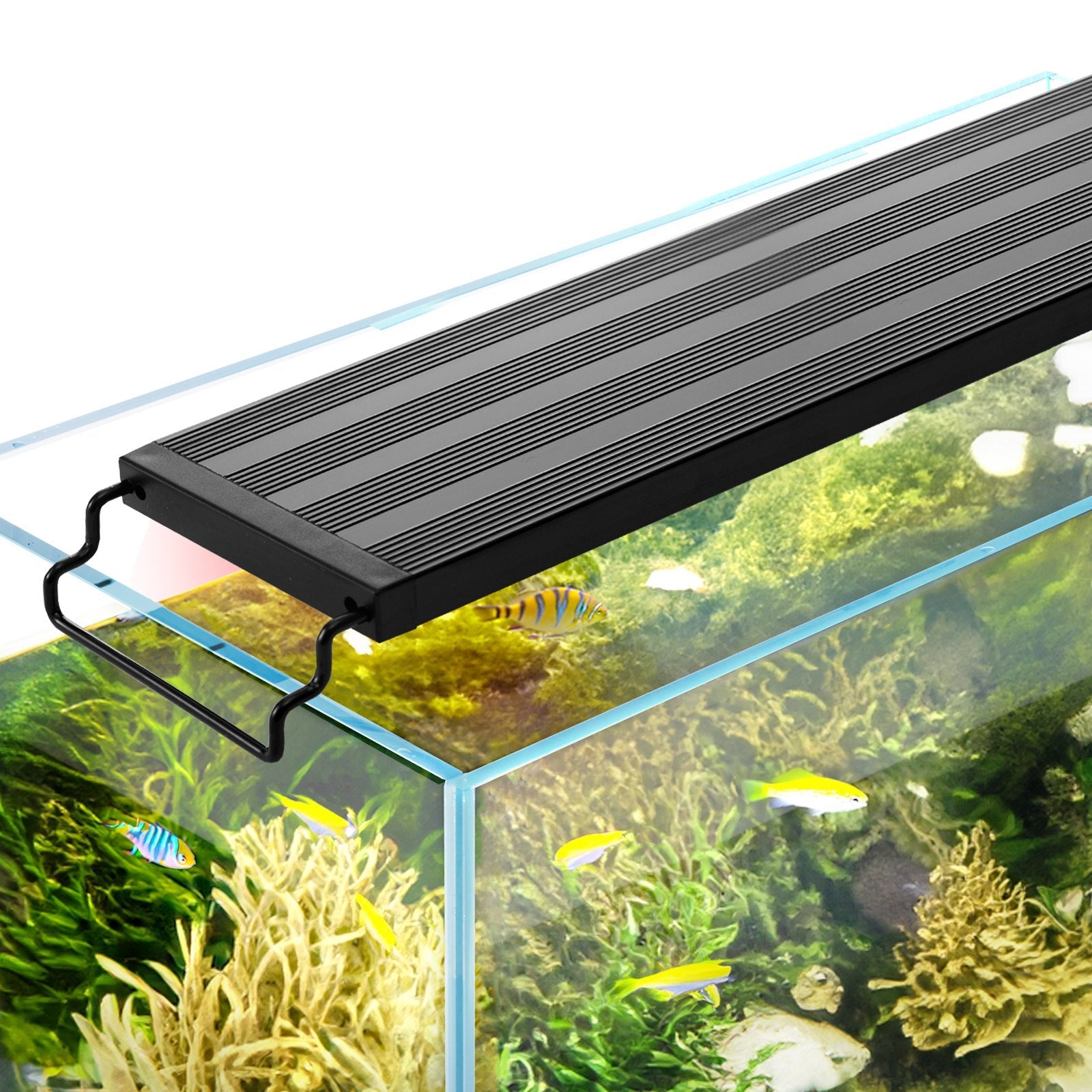 VEVOR Aquarium Light, 10W Full Spectrum Fish Tank Light with 5 - Premium Aquarium Stands from VEVOR - Just $36.08! Shop now at Rapidvehicles