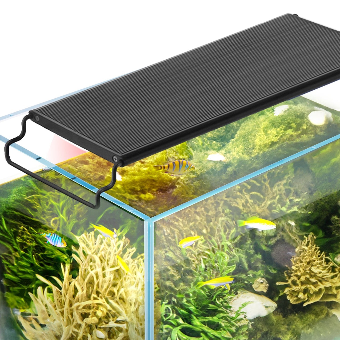 VEVOR Aquarium Light with LCD Monitor, 14W Full Spectrum Fish - Premium Aquarium Stands from VEVOR - Just $51.28! Shop now at Rapidvehicles