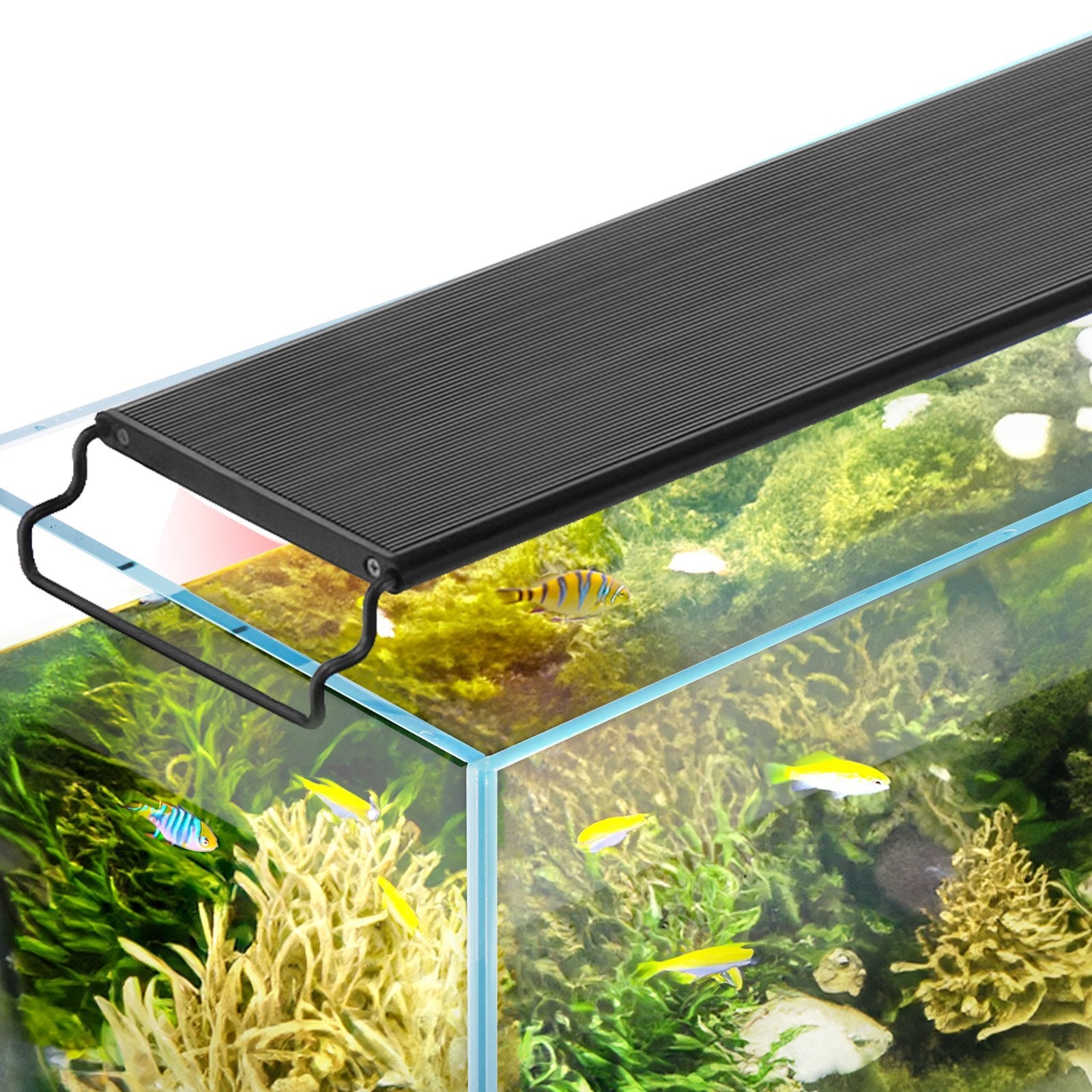 VEVOR Aquarium Light with LCD Monitor, 18W Full Spectrum Fish - Premium Aquarium Stands from VEVOR - Just $55.08! Shop now at Rapidvehicles