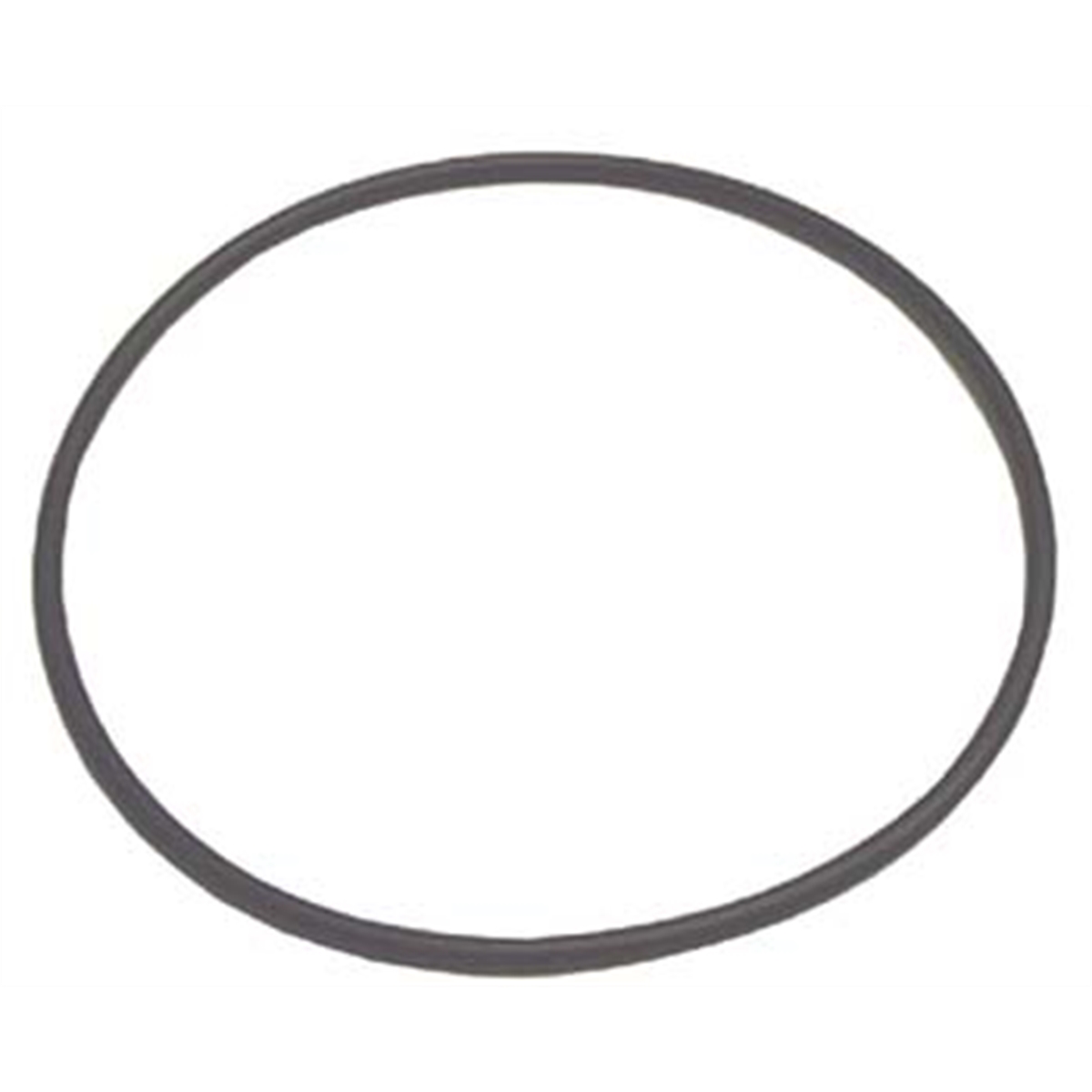 (H10)Large O-Ring For TC182034 Rotary Coupling Assembly - Premium Mount and Demount Tools from Tire Mechanic's Resource - Just $26.99! Shop now at Rapidvehicles