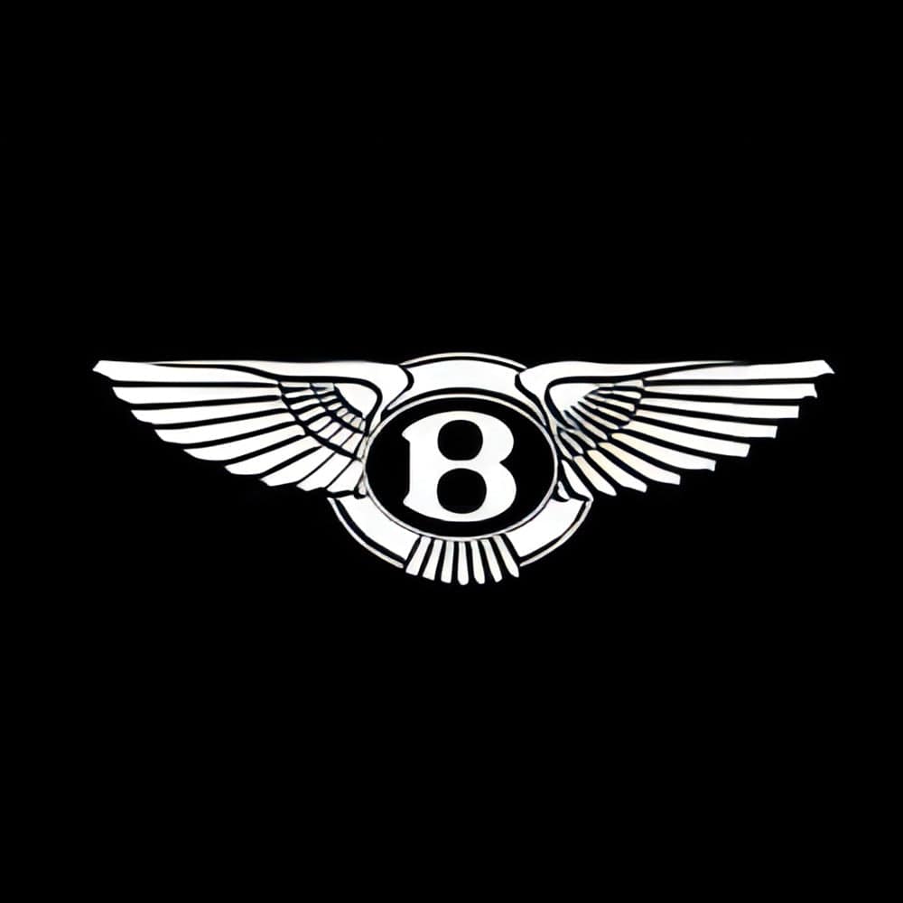 Bentley Flying Spur Premium Door Puddle Lights Various Designs 2005-2026
