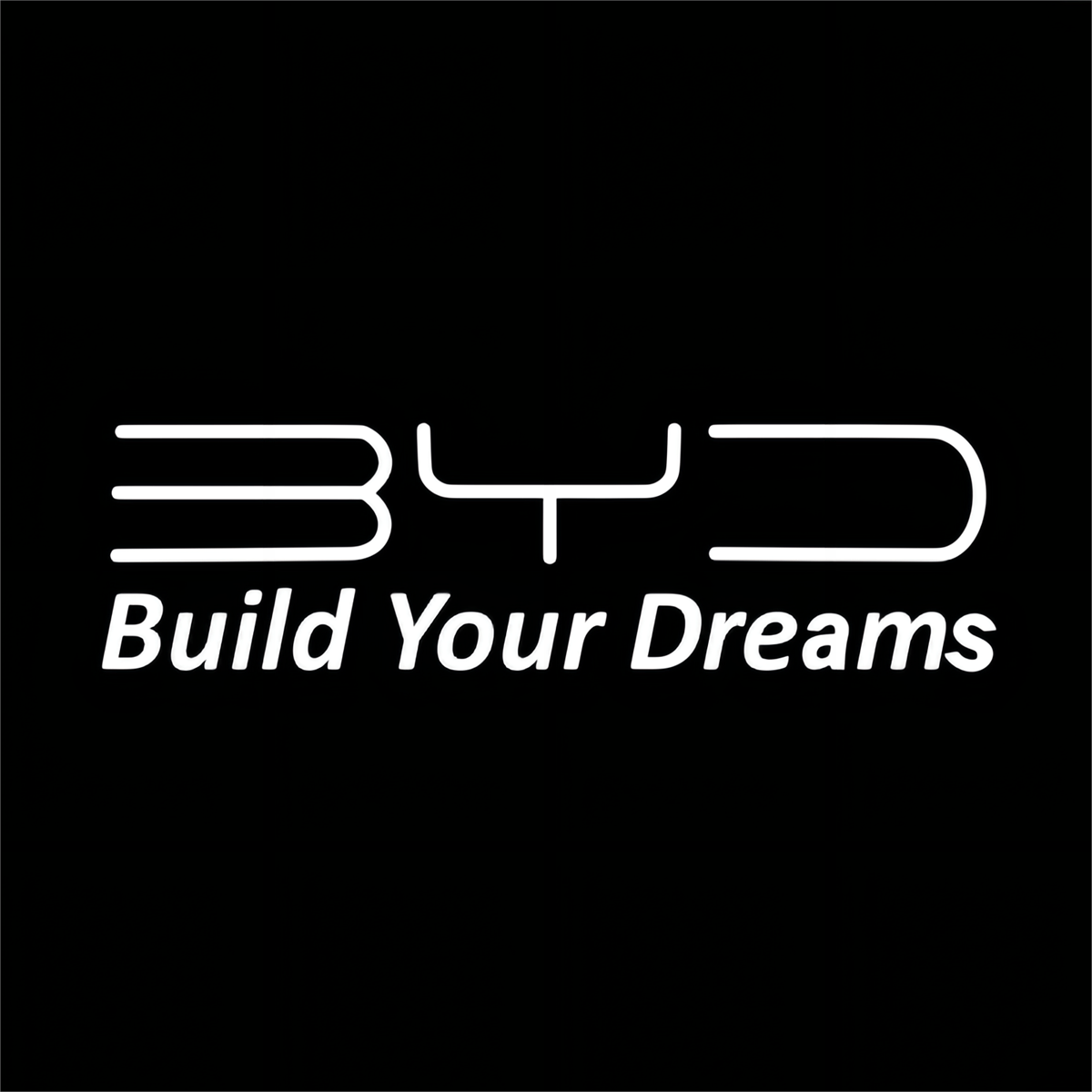 BYD Song Plus Premium Door Puddle Lights Various Designs 2020-2026