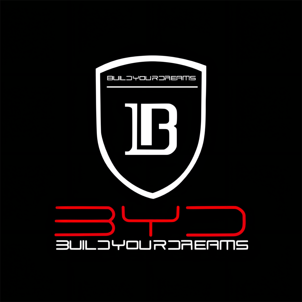 BYD Frigate 07 Premium Door Puddle Lights Various Designs 2023-2024