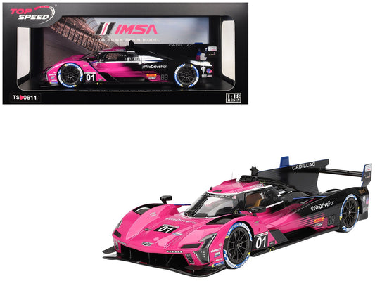Cadillac V - Series.R 01 Sebastien Bourdais - Scott Dixon - Renger van der Zande "Cadillac Racing" Winner IMSA "Petit Le Mans" (2024) 1/18 Model Car by Top Speed free shipping USA - Rapid Vehicles