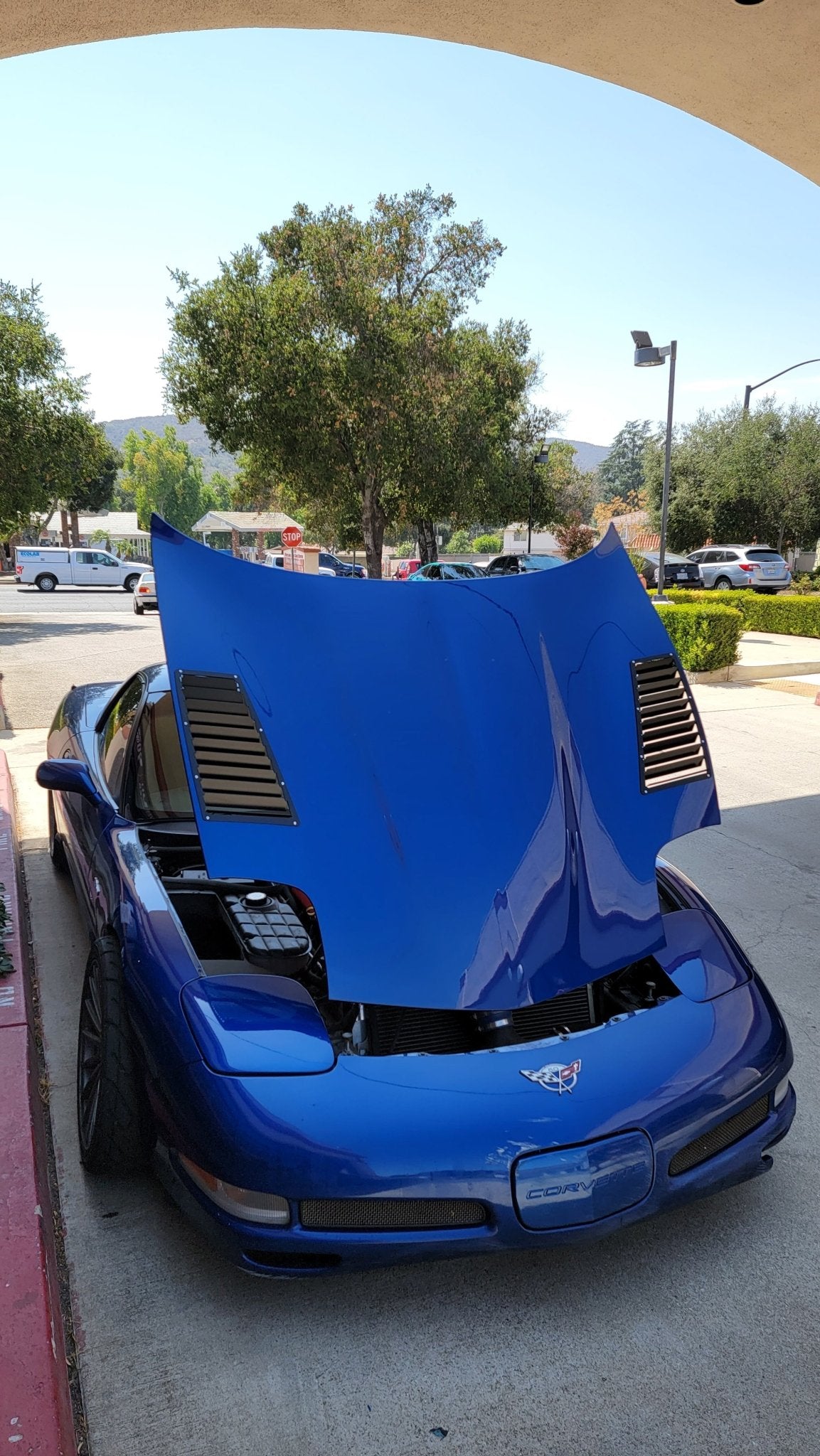 Chevrolet C5 Corvette Hood Louvers - Rapid Vehicles