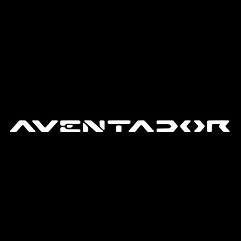 Lamborghini Aventador Premium Door Puddle Lights Various Designs 2011-2026