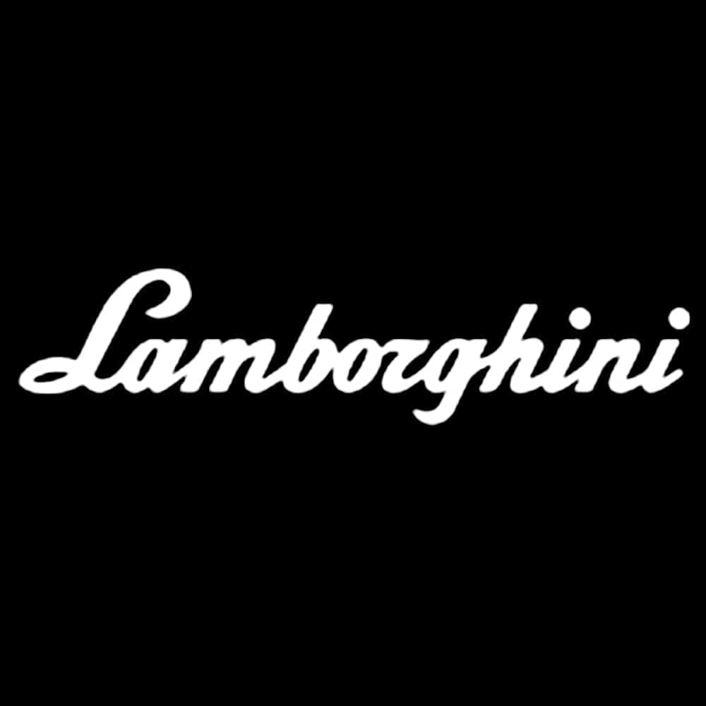 Lamborghini Gallardo Premium Door Puddle Lights Various Designs 2004-2014