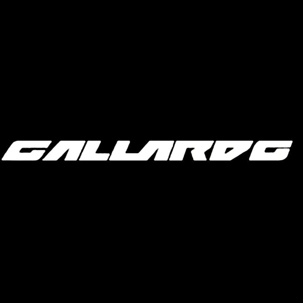 Lamborghini Gallardo Premium Door Puddle Lights Various Designs 2004-2014