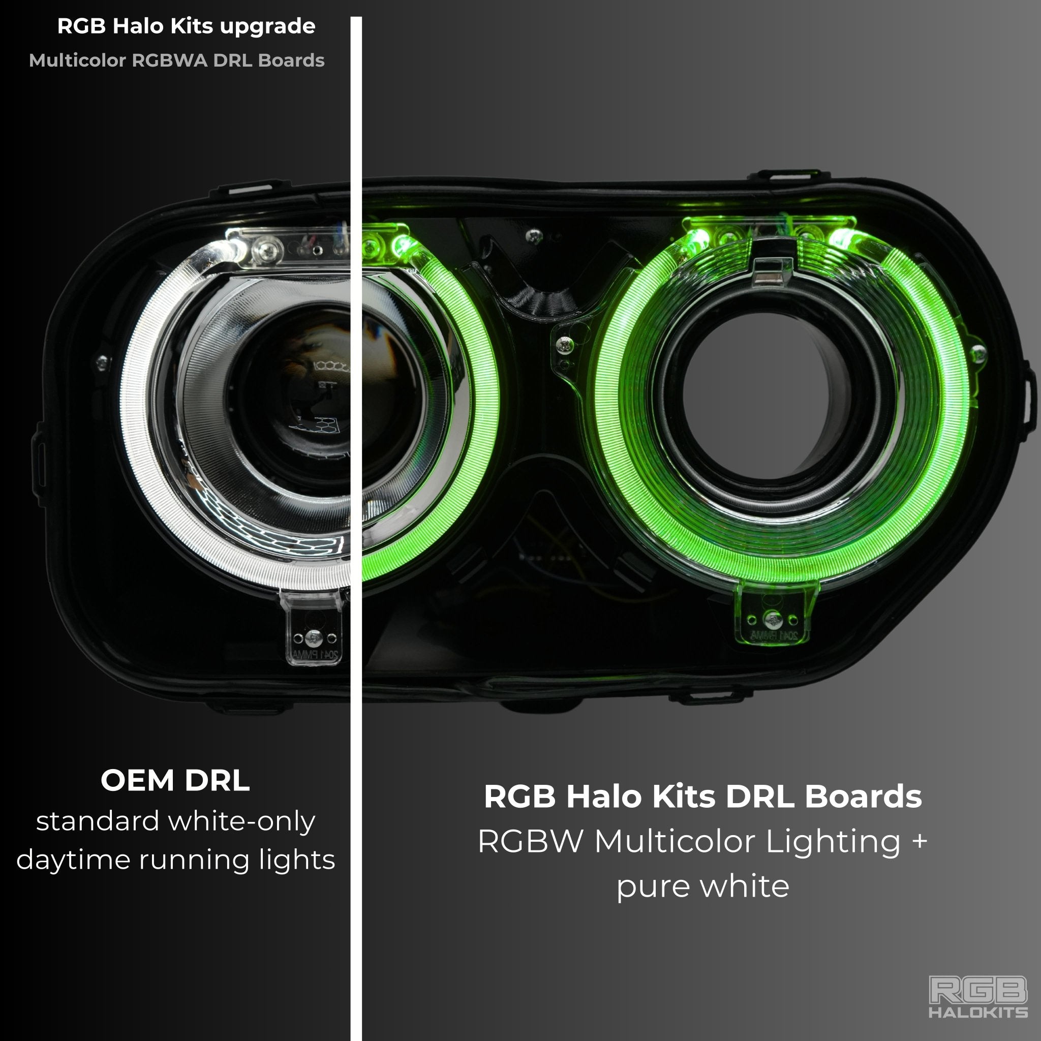 Dodge Challenger RGBW DRL Boards (2015-2024) - Rapid Vehicles