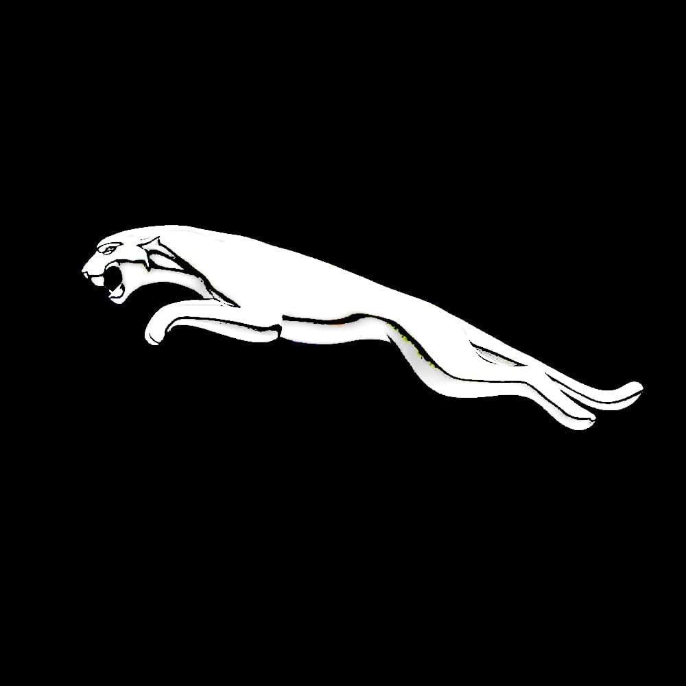 Jaguar XJR Premium Door Puddle Lights Various Designs 2003–2009