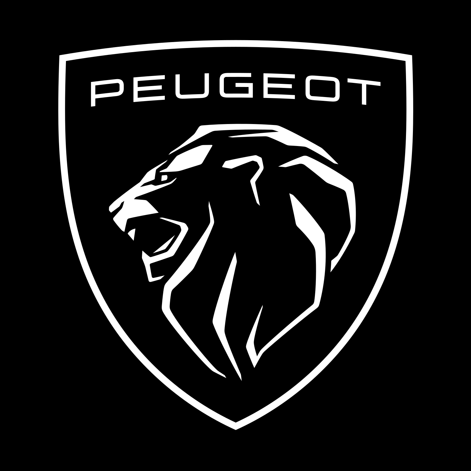 Peugeot 1007 Premium Door Puddle Lights Various Designs 2005-2009