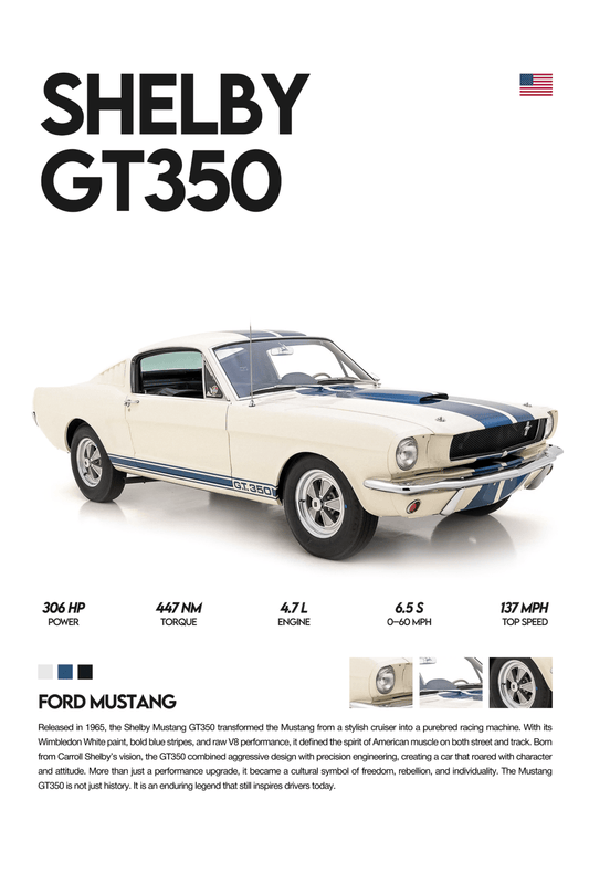Shelby GT350 - Rapid Vehicles